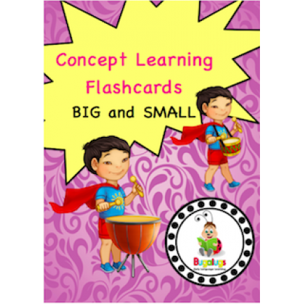 Adjective Flashcards - Big and Small